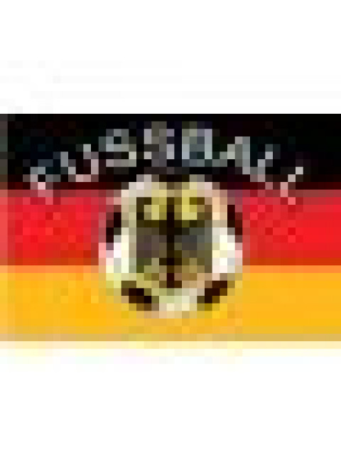 Fanartikel zur EM-2008 - Sport - Hamburg