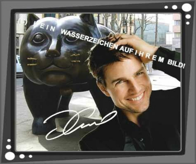 Spanisches Wandbild aus Barcelona: Tom Cruise und Katze. NEU! - Sammlungen - Berlin
