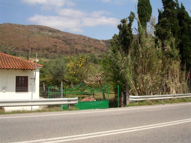 Unser Angebot in Nafpaktos/Zentralgriechenland - Immobilien - Troisdorf