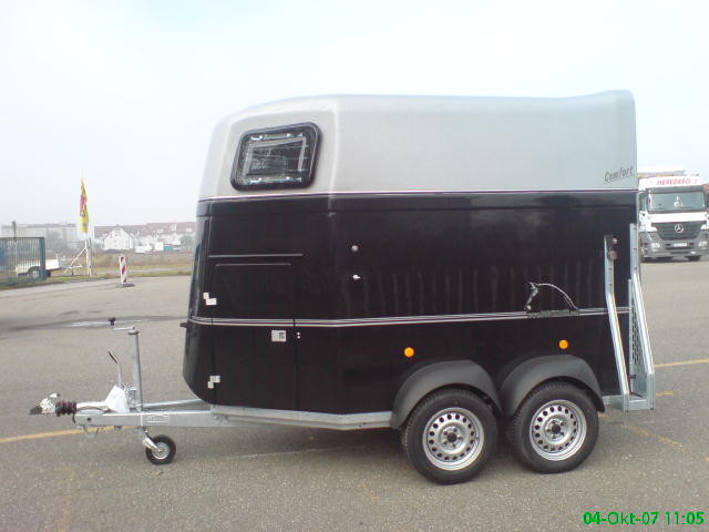 Böckmann 2-Pferdeanhänger Comfort Vollpoly - Nutzfahrzeuge - Offenbach / Queich