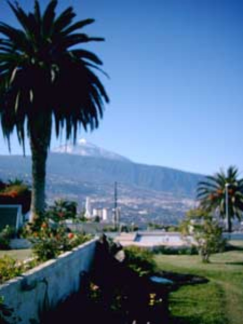 Casa Heidrun - Urlaub Reise - Teneriffa