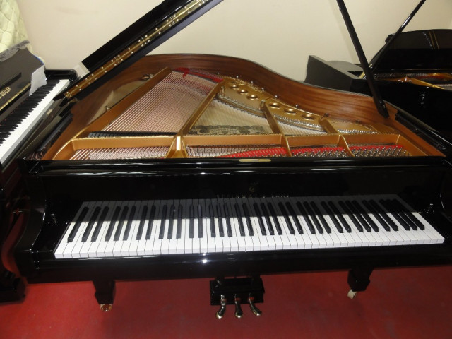 Steinway KLavier M USA - Musik - Berlin