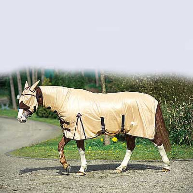 Www.barmstedter-reitsportladen.de - Tiere - Barmstedt