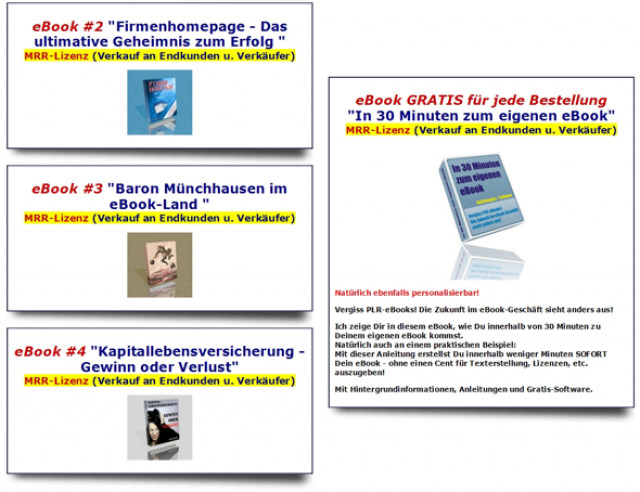 Mit eBooks ein Leben lang Geld verdienen - Sonstige Anzeigen - Lübow