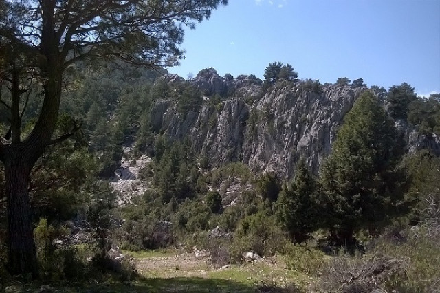 Natur und Wildnisbilder  - Promotion Pressemitteilungen - Kassel