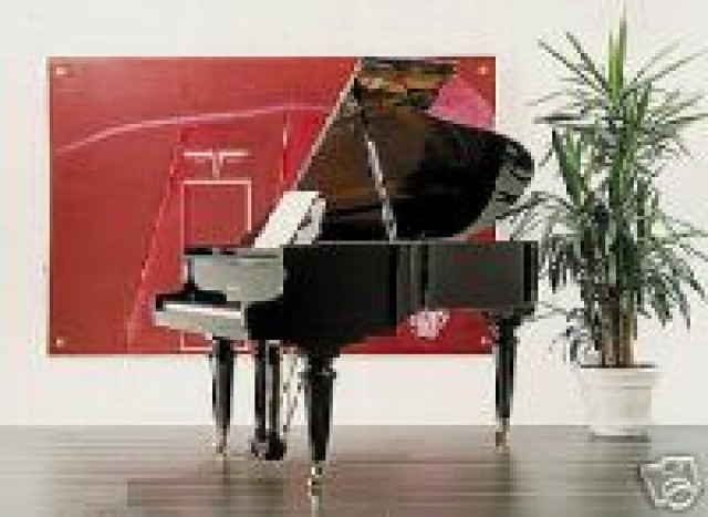 Schimmel Flügel Modell 174 TE - Musik - Wuppertal