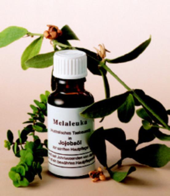 Wellnessprodukte auf Naturbasis - Wellness Gesundheit - Saarbrücken
