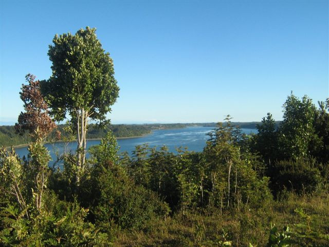 Wassergrundstück in Chile - Immobilien - Kassel