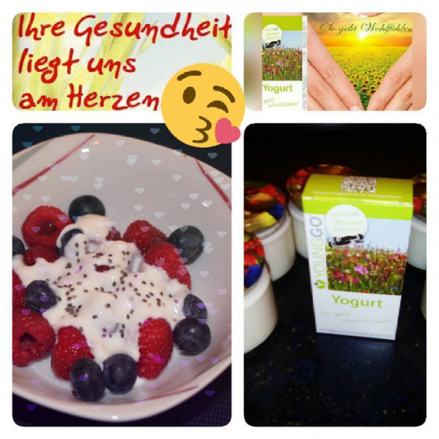 Joghurt ohne Zusatzstoffe für eine gesunde Darmflora - Wellness Gesundheit - Bischoffsheim