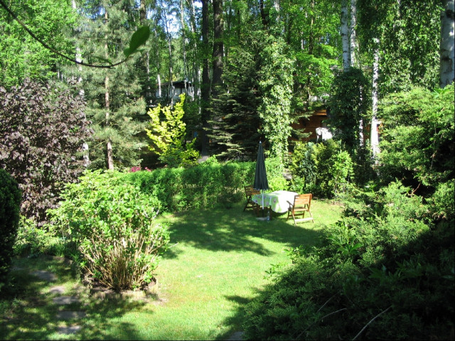 Verkaufe: Waldgrundstück in Bucha bei Leipzig - Immobilien - Leipzig