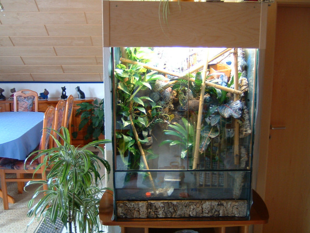 Terrarium 80x50x120 (BxTxH) mit Besatz zu verkaufen - Tiere - Linsengericht bei Gelnhausen/Hanau