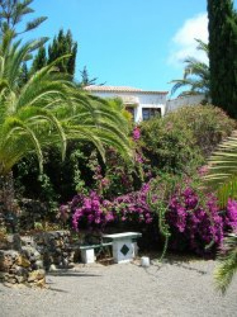Bungalow Colibri - Urlaub Reise - Teneriffa