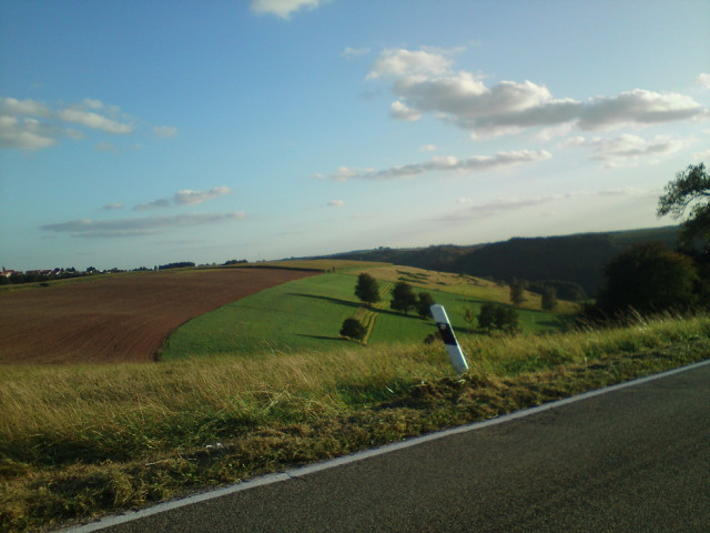 15 ha zusammenliegende Fläche zu verkaufen.. - Immobilien - Wallhalben