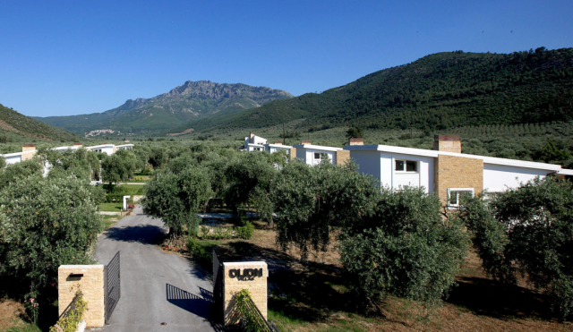 Deine Traumhäuser auf Griechenland - Thassos - Immobilien - Thassos