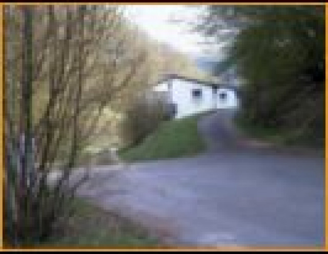 Bungalow in ruhiger Waldlage - ab sofort frei  - Immobilien - Herl