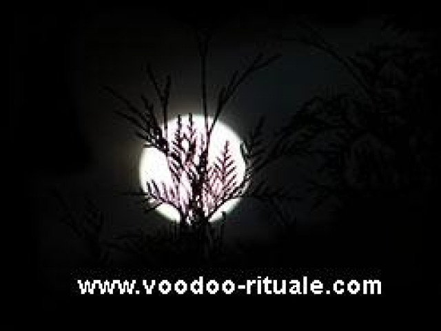 Power Turbo Voodoo Rituale Partnerrückführung Partnerzusammenführung Liebesmagie - Kommunikation - düsseldorf