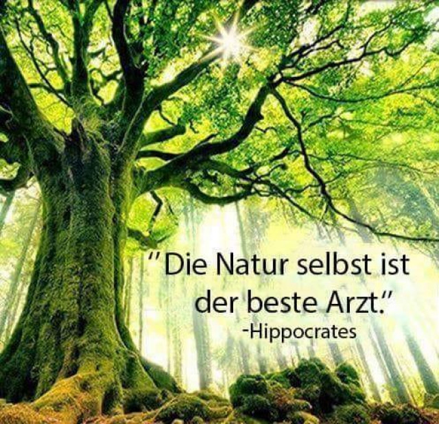 Nebenjob im Gesundheitsbereich - Stellenmarkt - Nordstemmen
