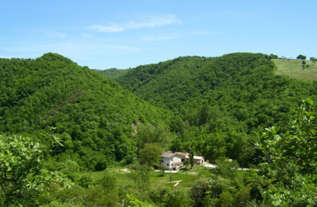 Ferienhaus auf kleinen Campingplatz mit Pool in der 