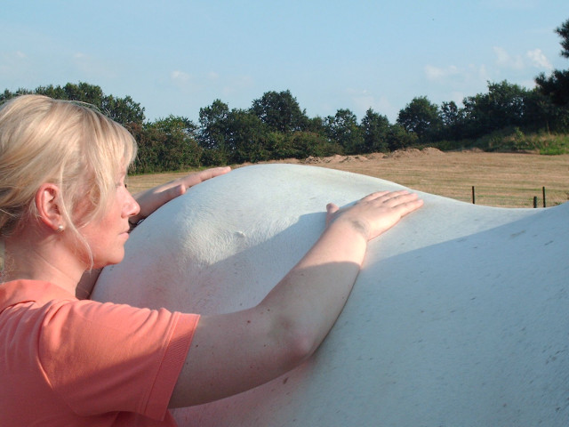 DIPO Pferdeosteopathie - Tiere - Hückelhoven