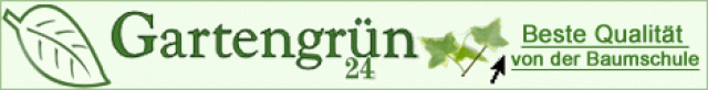 Gartengruen-24 Baumschule und Pflanzenversand - Handwerk Hausbau Garten - Tangstedt