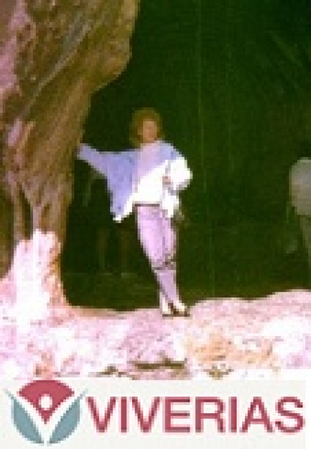 Beraterin Abby Kartenfee bei Viverias - 10 minütiges Gratisgespräch für Neukunde - Dienstleistungen Business Gewerbe - Langenfeld