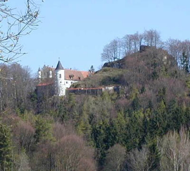 Wanderung von Neukirchen über den Höhenweg zum Naturschutzgebiet Neidstein - Eintrittskarten Tickets - Amberg