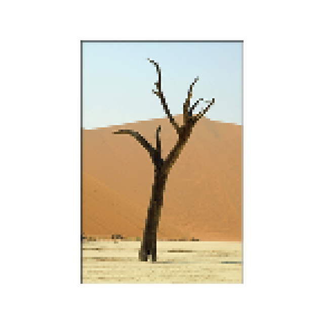 Naturfotografie Dorit Mrazek - Eindrucksvolle Naturfotografien Weltweit - Promotion Pressemitteilungen - Eppstein