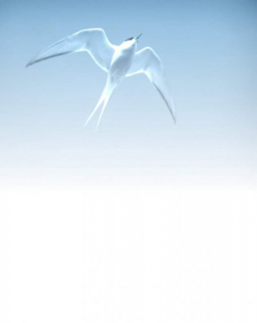 Call Center Agents Outbound  im Home Office gesucht - Stellenmarkt - Bundesweit