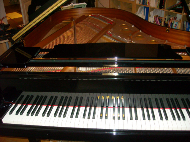 Flügel YAMAHA C3 - Musik - Prag