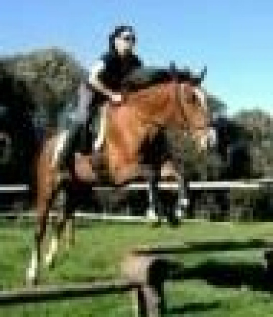 Wir suchen ein Haus mit grossem Grundstück  - Immobilien - zülpich