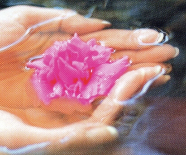 Freie Mitarbeiterin gesucht - Stellenmarkt - Stuttgart