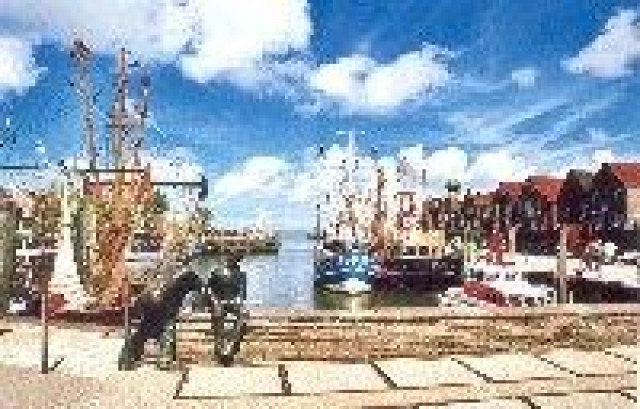 Immobilien Hartward & Ferienwohnungen Ostfriesland - Ferienwohnung Haus - Holtgast