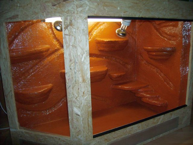 Passendes Terrarium noch nicht gefunden    - Tiere - nürnberg