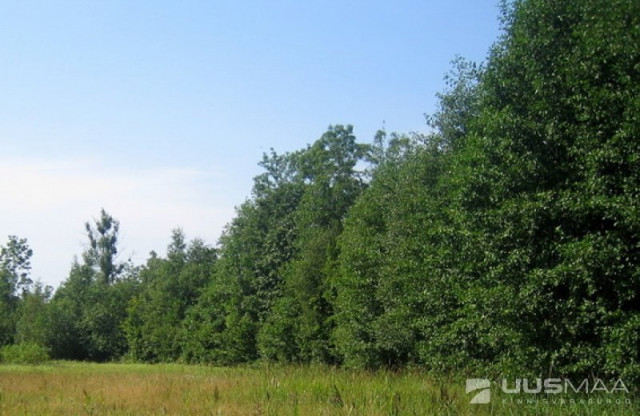 Ein Stück Estnische Natur - Immobilien - Pärnu