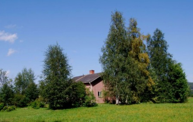 Bauernhaus in  Angermanland/Schweden - Immobilien - Näs ker