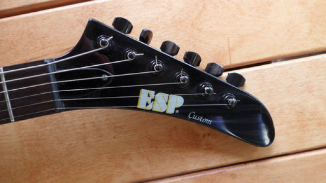 ESP Custom Explorer - Musik - Hilden