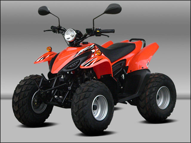 Quad-ATV Dolphin 50cc mit Zulassung das Schärfste, was man ab 16 Jahren auf vier - Motorraeder und Teile nach Marken - Essen