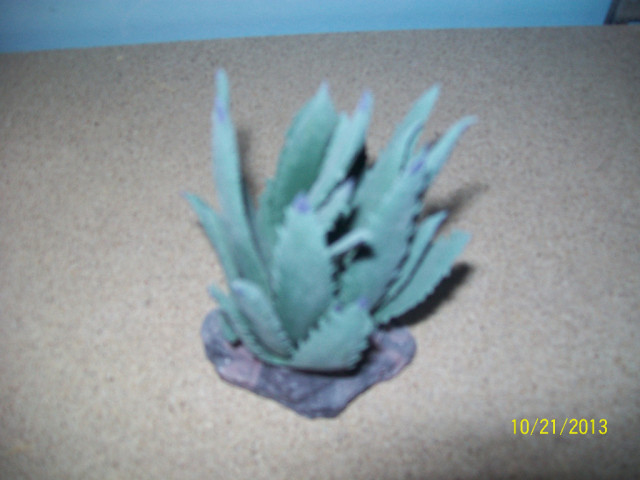 Verkaufe günstig verschiedene neue Terrariendekorationsartikel - Tiere - Heinrichsthal