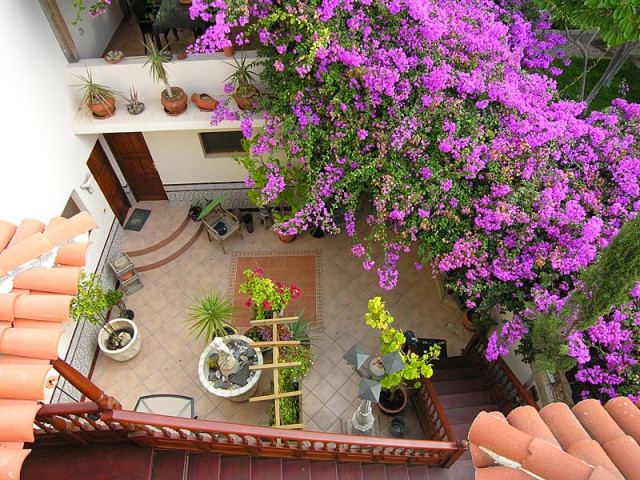 Bio Finca Patio Suite  Teneriffa - Urlaub Reise - Oerlinghausen