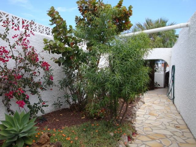 Teneriffa-Chalet Casablanca - Urlaub Reise - El Poris