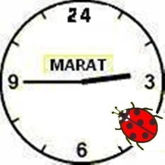 Altenpflege und Seniorenbetreuung rund um die Uhr - Sonstige Anzeigen - Hamburg