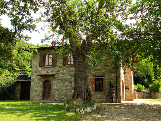 Gepflegtes Ferienhaus mit Whirlpool in der Toskana zu vermieten - Urlaub Reise - Poppi