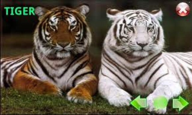 Kriminelle Flüchtlingskinder - deutsche Eltern in größter Angst! - Kommunikation - Ronnenberg