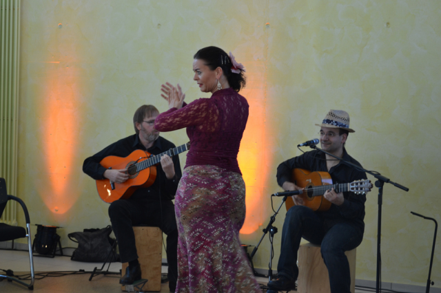 Flamenco Gitarre - Musik - Osnabrück