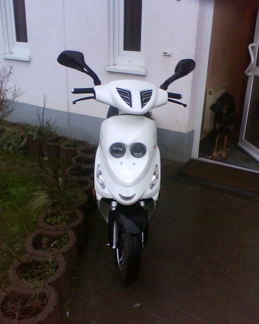Mofaroller Rex RS500 - Motorraeder und Teile nach Marken - Werl