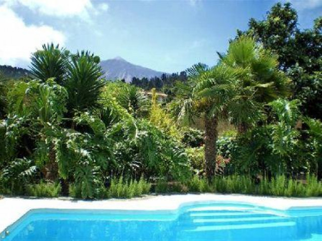 Urlaub auf Teneriffa auf der Finca Corine - Urlaub Reise - Poris de Abona - Teneriffa