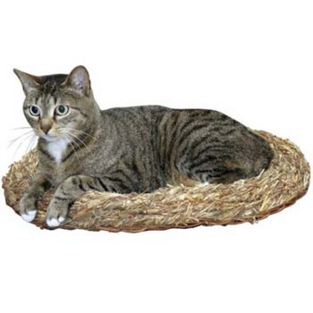 Grasbett für Katzen - Tiere - Högling