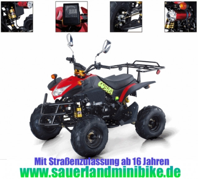 QUAD / ATV  CITY COBRA 50  MIT STRASSENZULASSUNG NEU. AB 16 JAHREN - Motorrad Sonstiges - bestwig