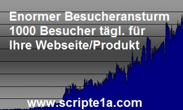 Top Software für 1000 de Besucher täglich. - Computer - München