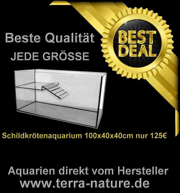 Schildkrötenaquarium mit Ausstiegshilfe und Insel 100x40x40cm Schildkröten - Tiere - Dortmund